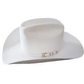 1000X Stetson Diamante Hat Made With Premium Chinchilla/Beaver - White