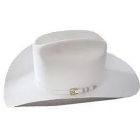 1000X Stetson Diamante Hat Made With Premium Chinchilla/Beaver - White