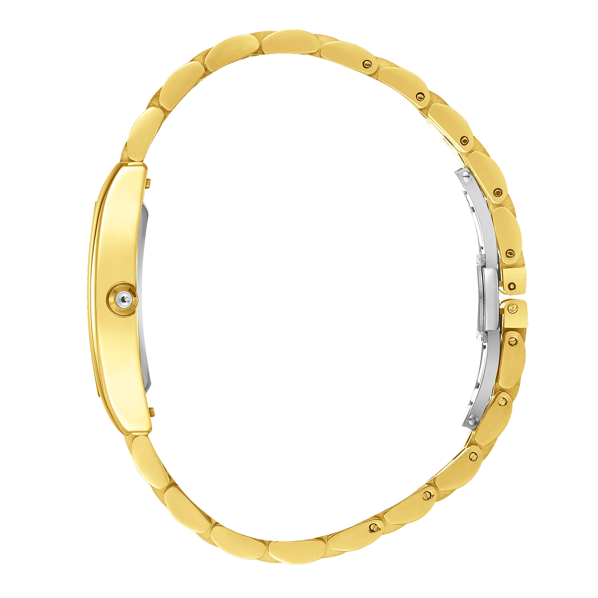 BHPC - BP3716X.170 - Stainless Steel Watch for Women