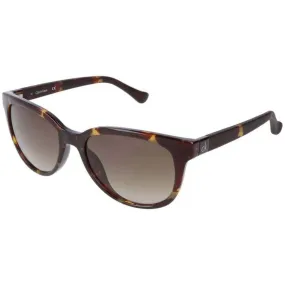 Calvin Klein Women's Sunglasses - Brown Gradient Lens | CALVIN KLEIN CK3176S 214