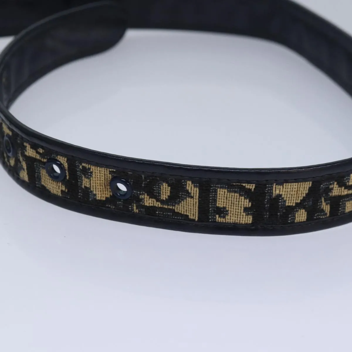 Dior  Canvas Belt