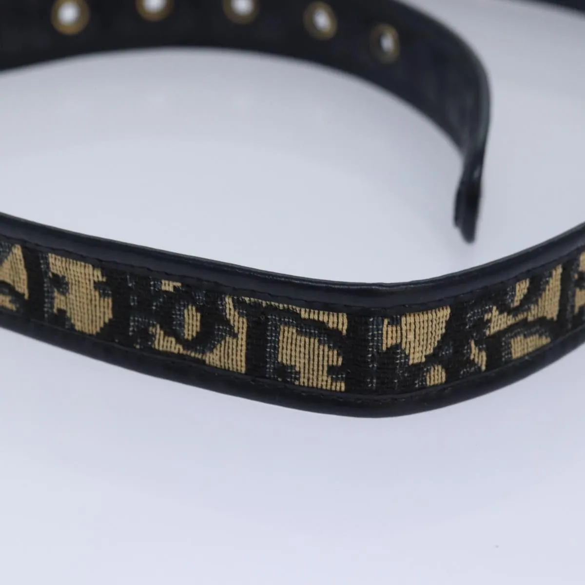 Dior  Canvas Belt