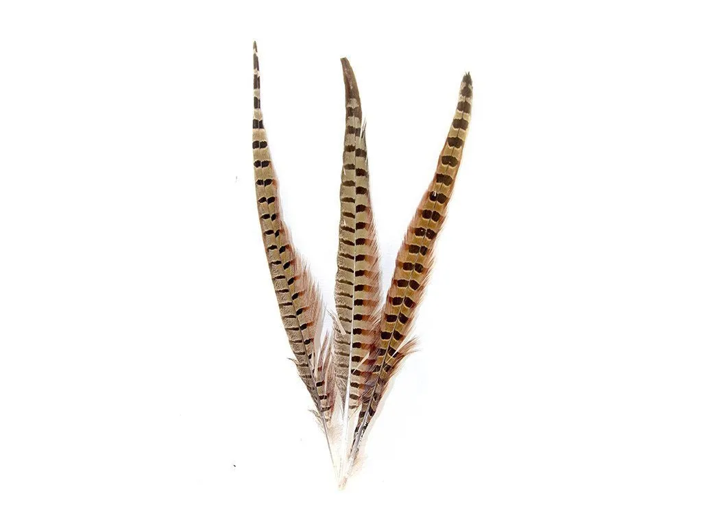 Pheasant Natural Ringneck Feathers