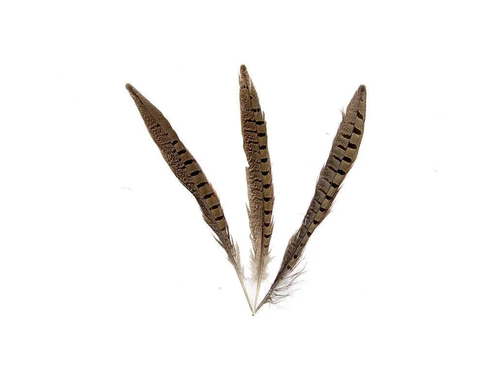 Pheasant Natural Ringneck Feathers