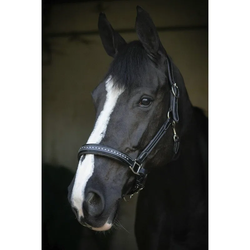 Point Sellier Leather Halter