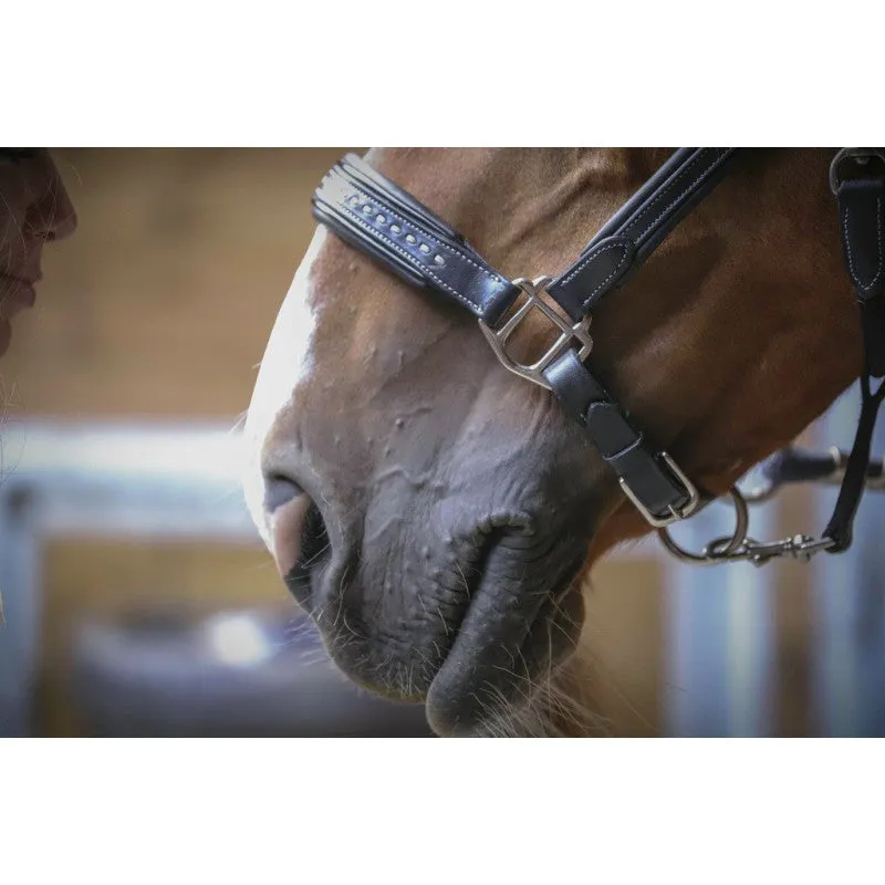 Point Sellier Leather Halter