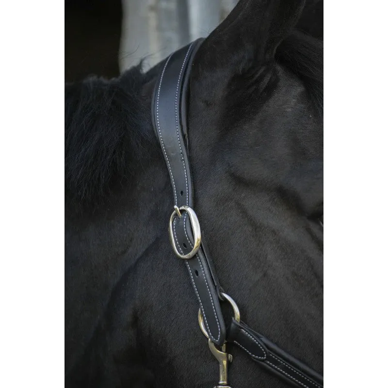 Point Sellier Leather Halter
