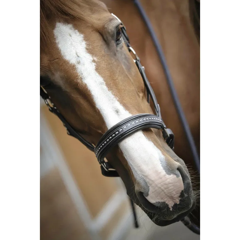 Point Sellier Leather Halter