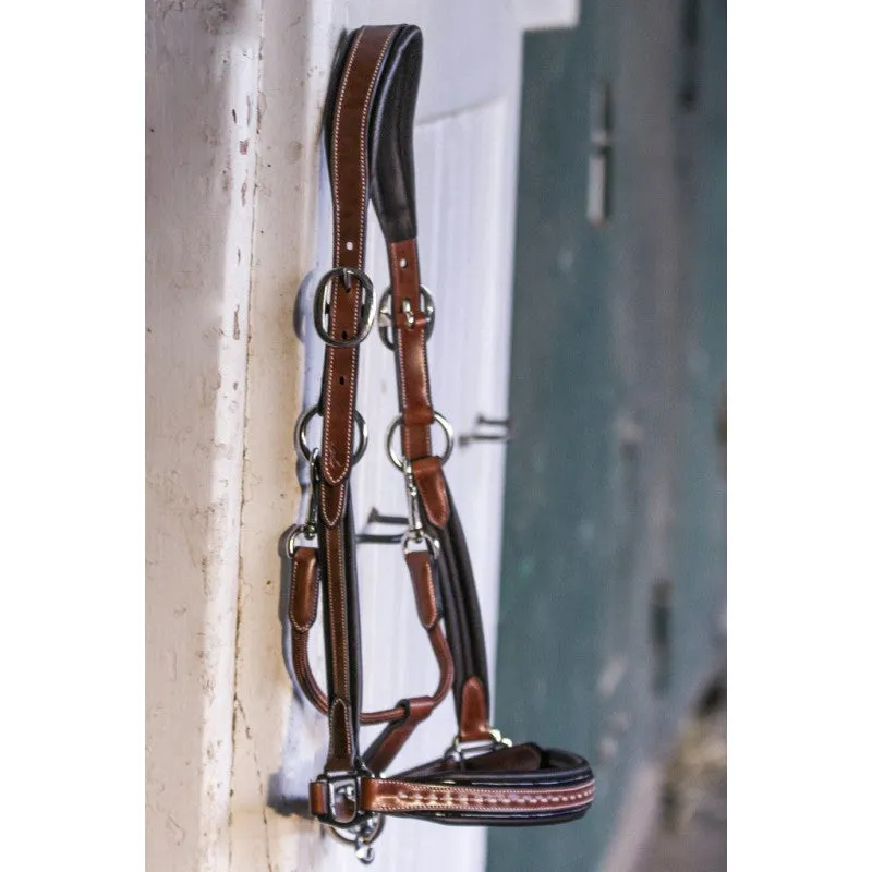 Point Sellier Leather Halter