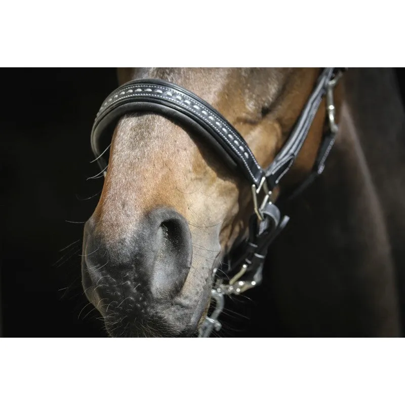 Point Sellier Leather Halter