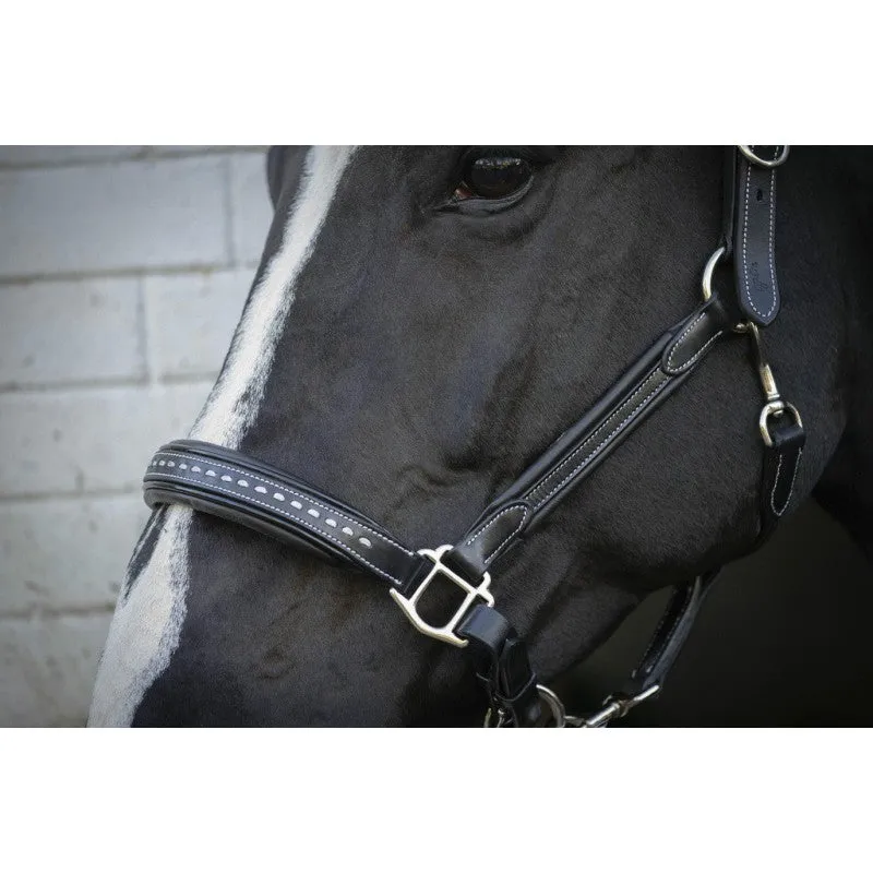 Point Sellier Leather Halter