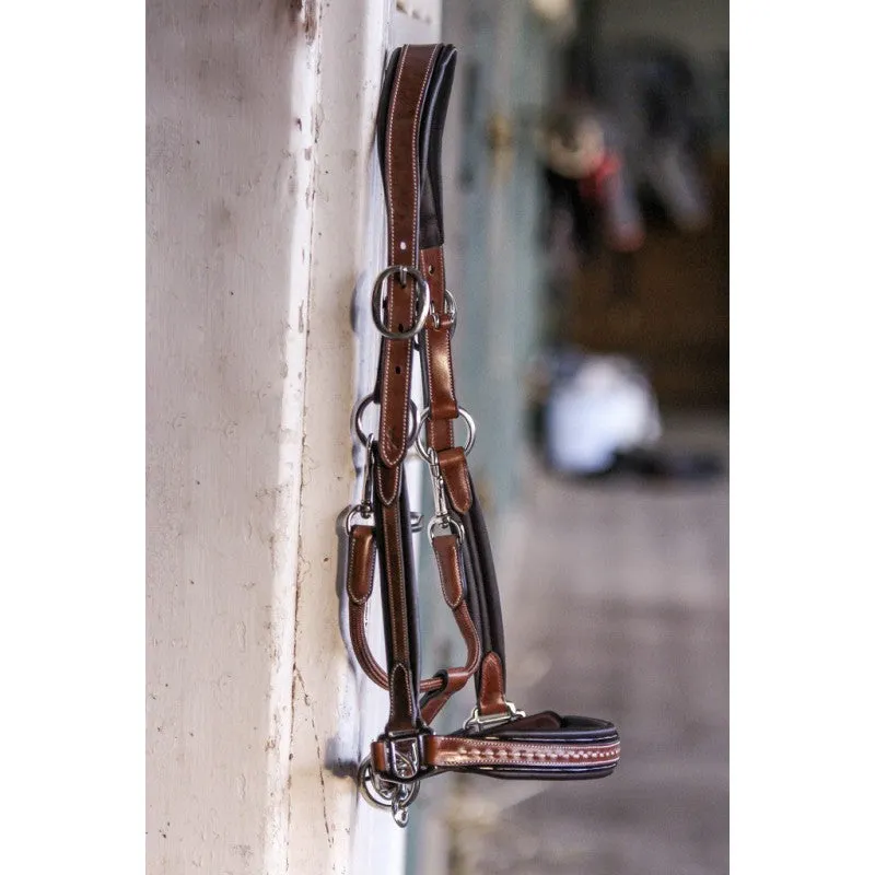 Point Sellier Leather Halter