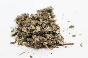 Red Raspberry Leaves