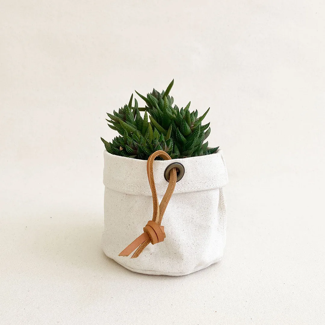 Small Canvas Planter #105