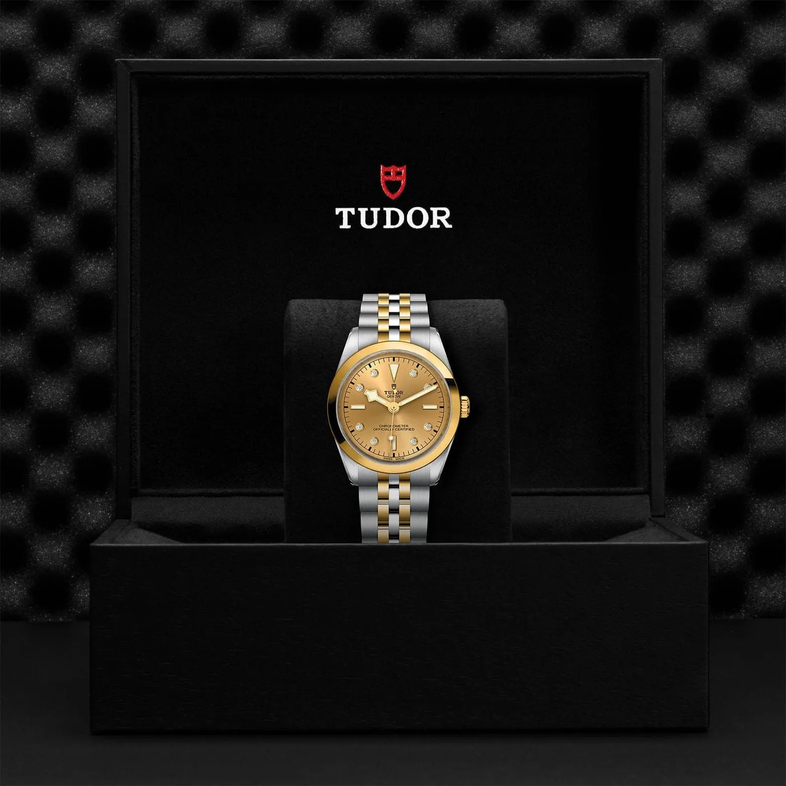 TUDOR Black Bay 31/36/39/41 S&G 36 Mm Steel Case - M79643-0008