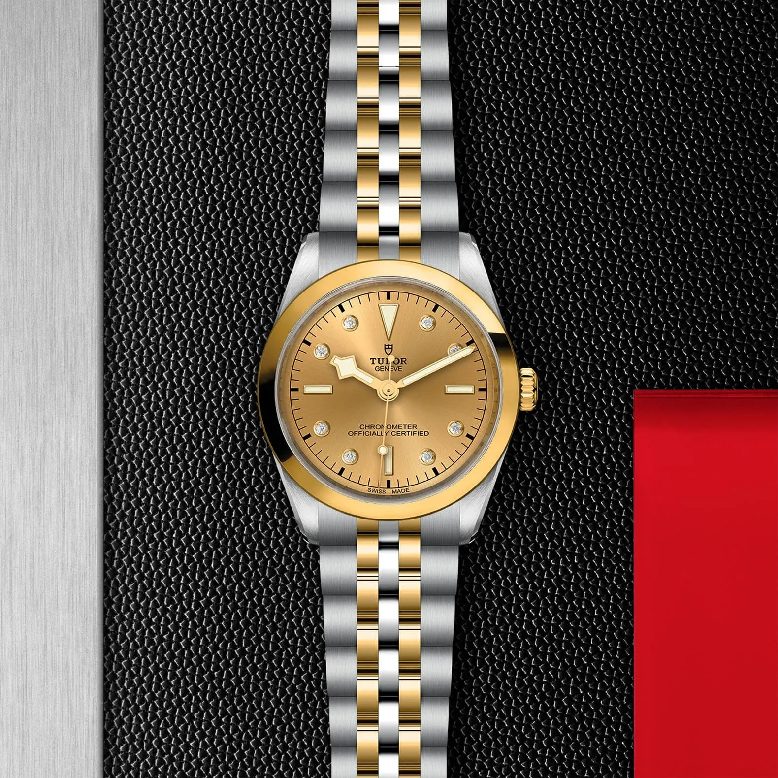 TUDOR Black Bay 31/36/39/41 S&G 36 Mm Steel Case - M79643-0008